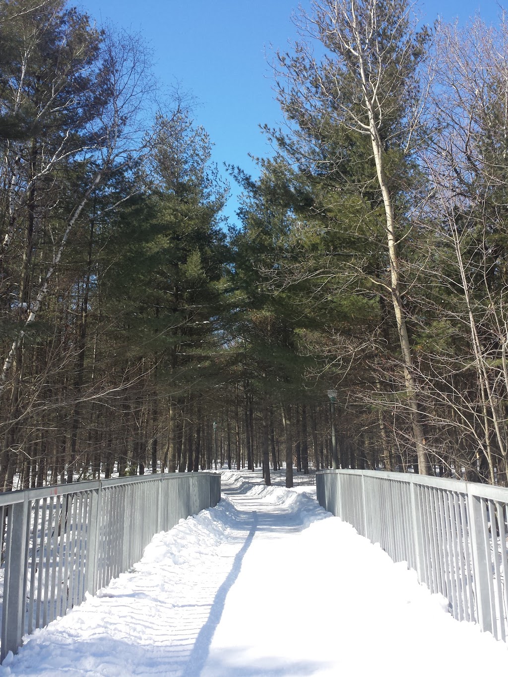 Parc écologique de la Coulée | Terrebonne, QC J6X 1W1, Canada