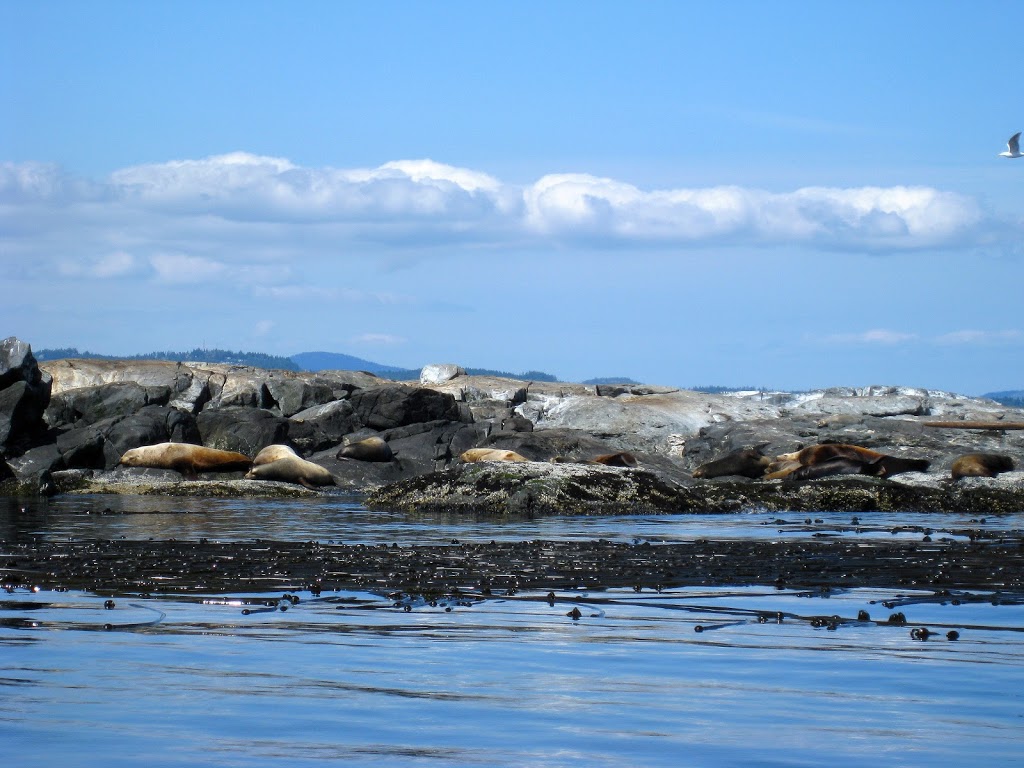 Trial Islands Lighthouse | Oak Bay, BC V8S, Canada | Phone: (888) 773-8888