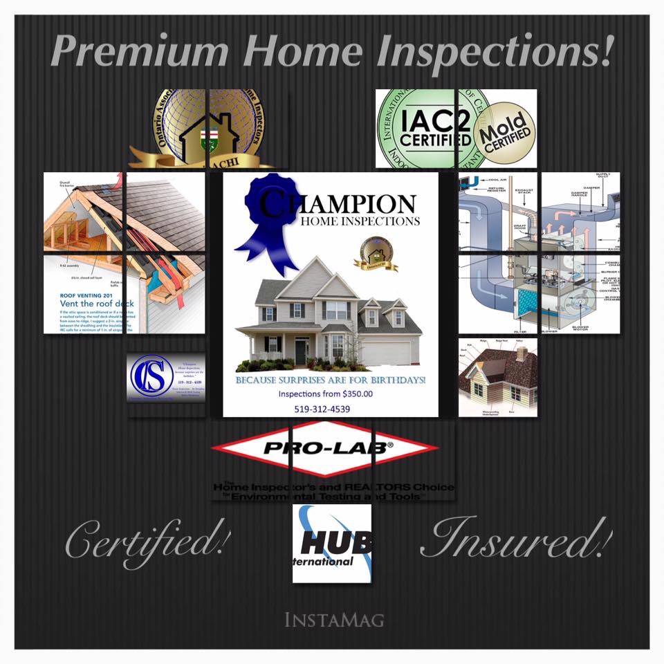 Champion Home Inspections | 1988 Marisa Ct, Brights Grove, ON N0N 1C0, Canada | Phone: (519) 312-4539