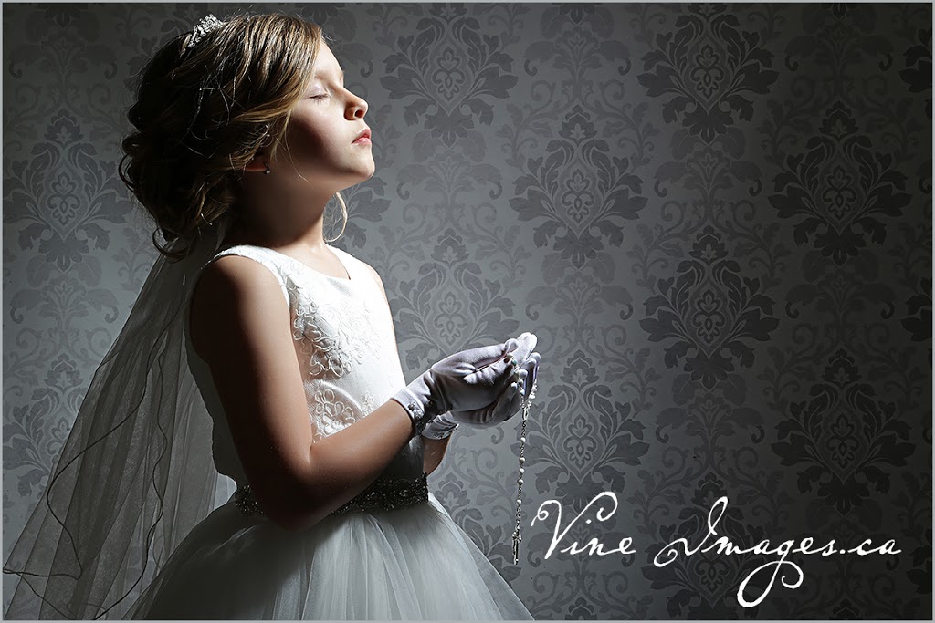 Vine Images Inc Julie Johnson Photography | 2173 Berwick Dr, Burlington, ON L7M 5C2, Canada | Phone: (905) 335-9486