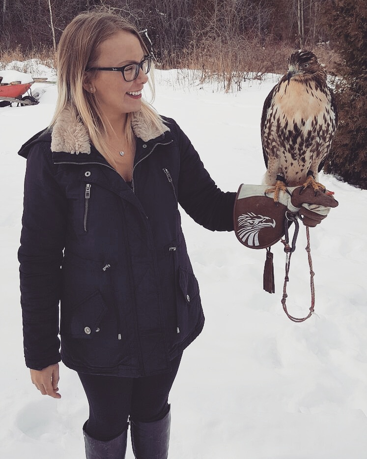 Ontario Falconry Centre | 2434 Holt Rd, Bowmanville, ON L1C 3K7, Canada | Phone: (647) 986-6732