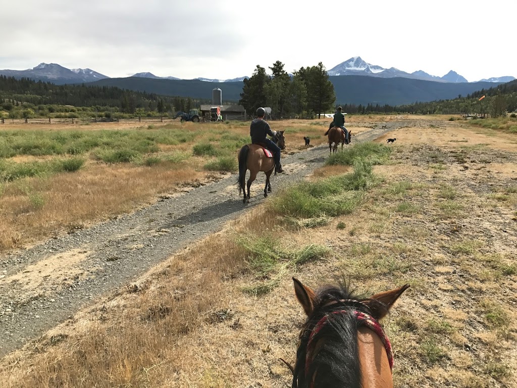 Elkin Creek Guest Ranch Airport | Cariboo J, BC V0L 1X0, Canada | Phone: (250) 394-5175