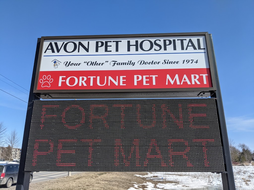 Fortune Pet Mart | 345 Douro St Unit B, Stratford, ON N5A 3S8, Canada | Phone: (519) 508-6464