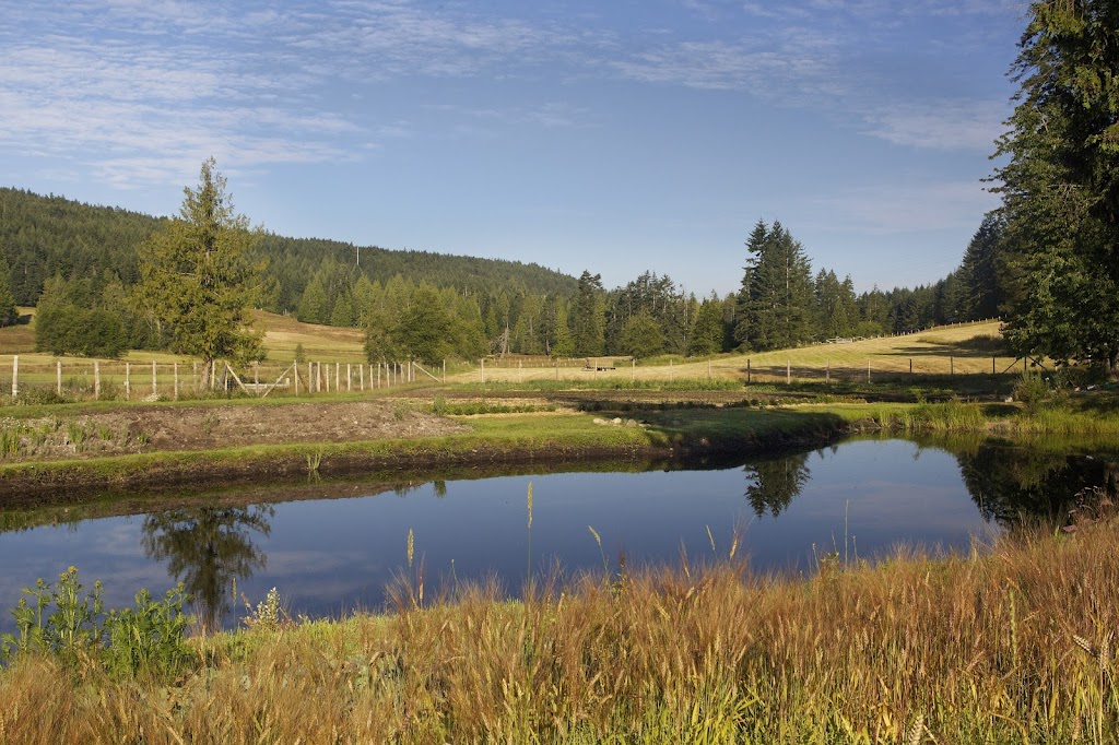 Salt Spring Seeds | 250 Toynbee Rd, Salt Spring Island, BC V8K 2W1, Canada | Phone: (250) 537-5269