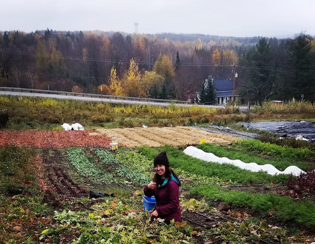 Ferme La valse des saisons s.e.n.c. | 780 QC-243, Melbourne, QC J0B 1X0, Canada | Phone: (819) 380-3254