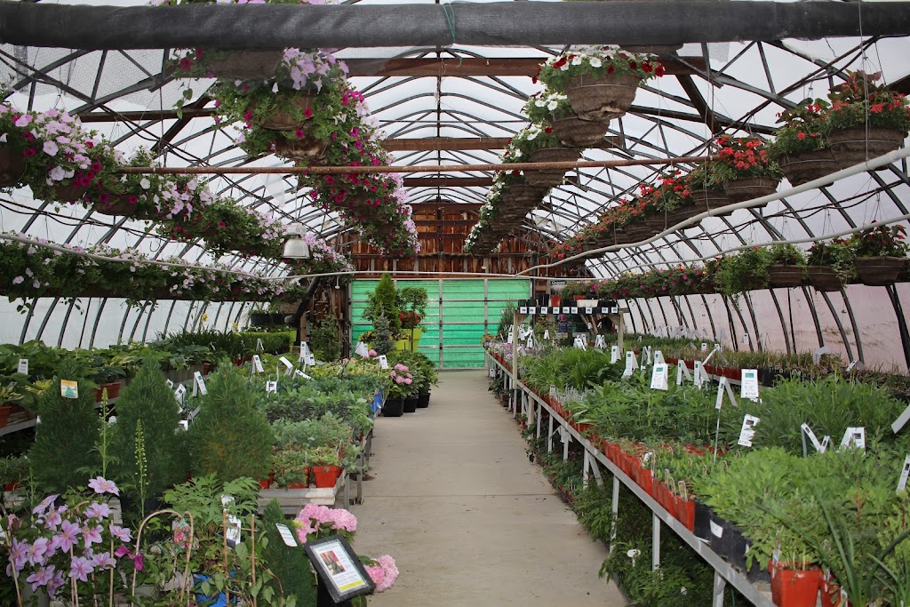 Listowel Greenhouses | 7877 Perth Road 164 R.R 2, Listowel, ON N4W 3G7, Canada | Phone: (519) 291-2434