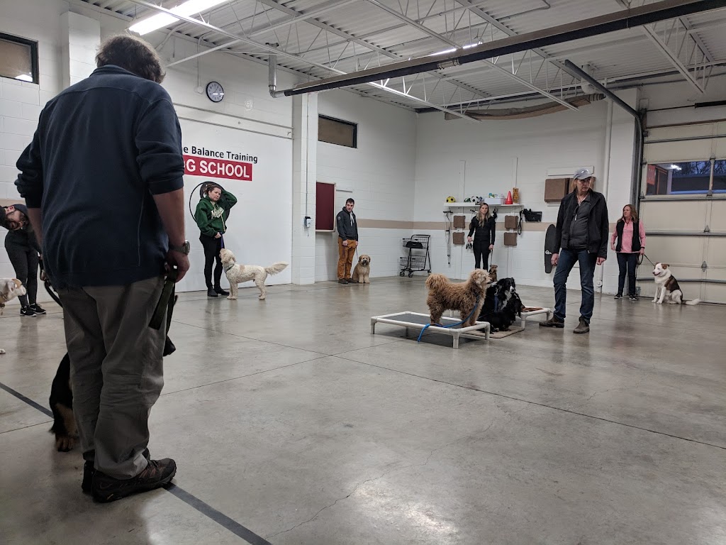 Canine Balance Training | 2487 Industrial St Unit 4 & 5, Burlington, ON L7P 1A6, Canada | Phone: (905) 465-5837