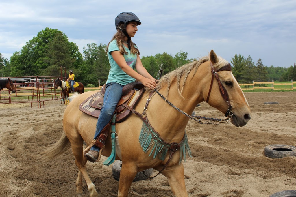 Villeneuve Ranch | 327 La Cloche Lake Rd, Massey, ON P0P 1P0, Canada | Phone: (705) 869-8852