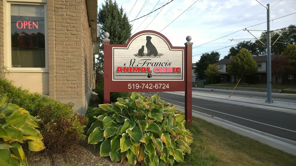 St Francis Animal Clinic | 22 Pandora Ave S, Kitchener, ON N2G 3N5, Canada | Phone: (519) 742-6724