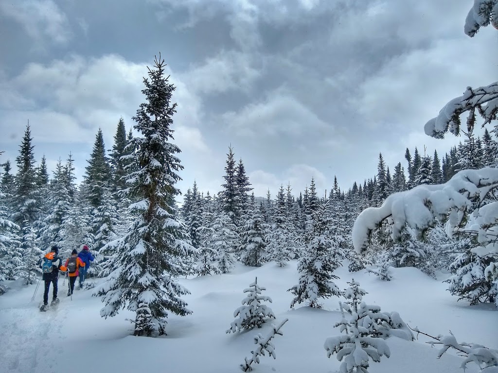 Réserve faunique des Laurentides | Route QC-175 Km 94, Sainte-Brigitte-de-Laval, QC G0A 3K0, Canada | Phone: (418) 528-6868