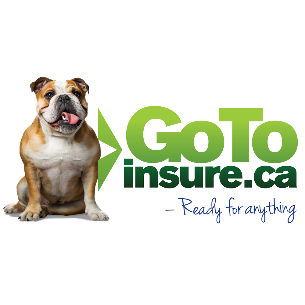 Stevens Wilson & Lockerbie | GoToInsure.ca | 170 Wellington St, Miramichi, NB E1N 1L9, Canada | Phone: (506) 773-4489