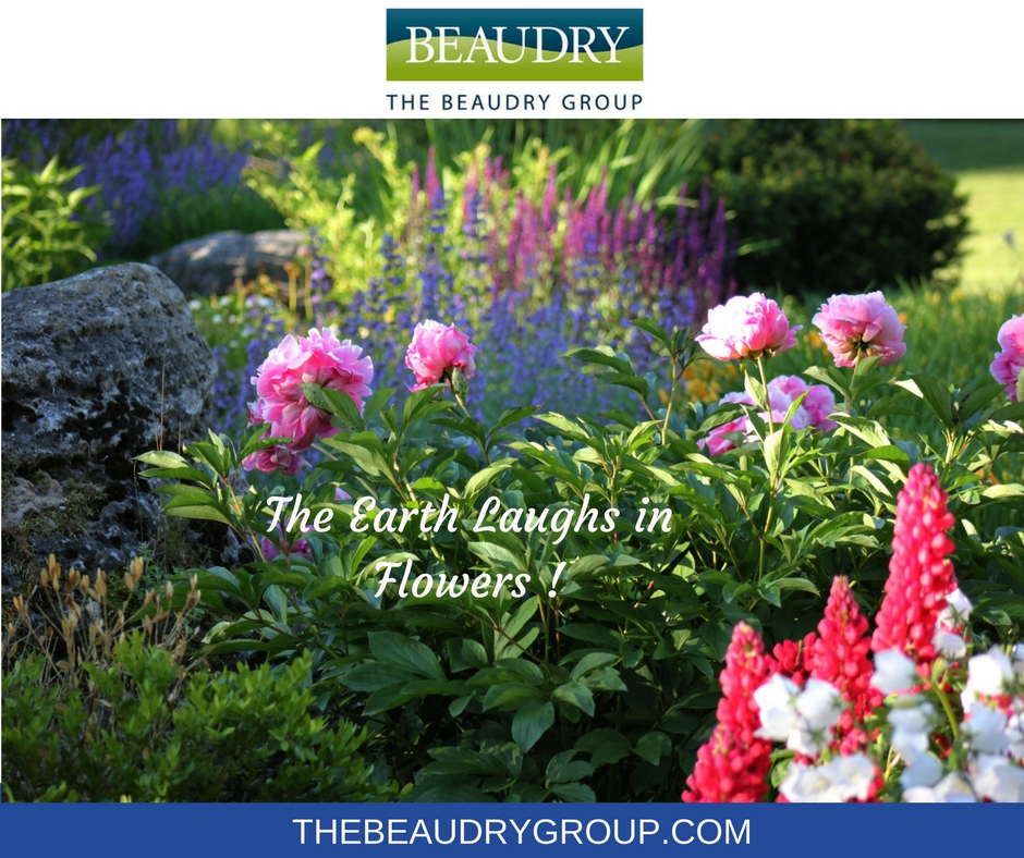 The Beaudry Group Landscaping and Maintenance | 4031 Fairview St, Burlington, ON L7N 2R4, Canada | Phone: (905) 639-6502