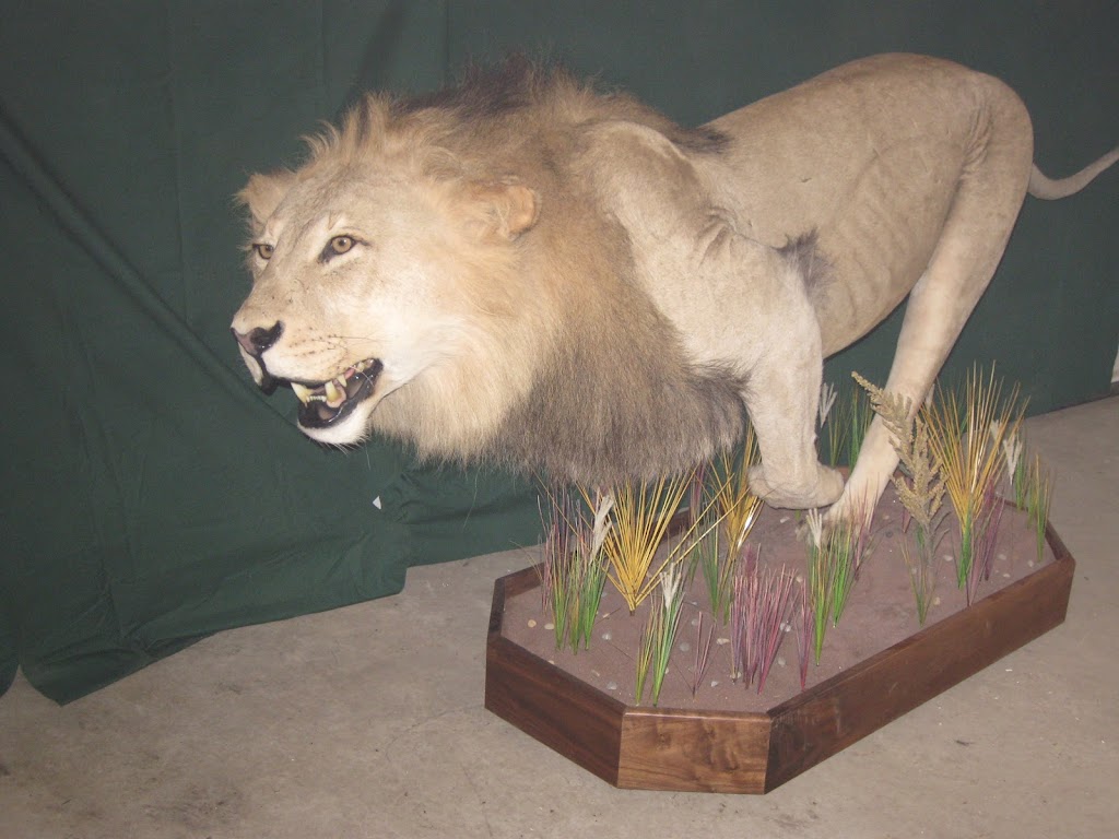 Hunters Taxidermy | 39048 Range Road 22 - 0, Erskine, AB T0C 1G0, Canada | Phone: (403) 352-7030