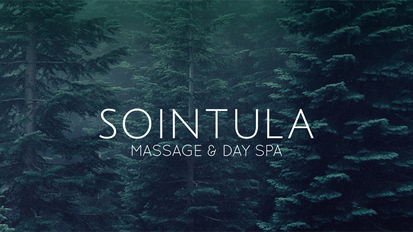 Sointula Massage and Day Spa | 2950 Camozzi Rd suite# 2222, Revelstoke, BC V0E 2S3, Canada | Phone: (250) 837-2025