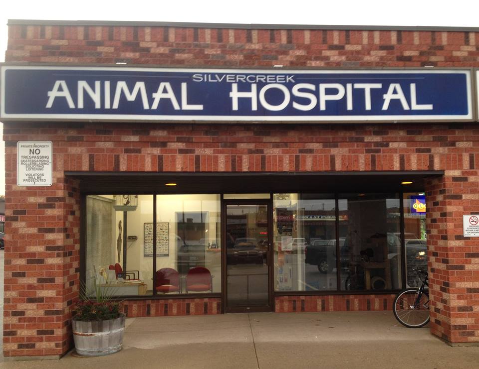 Silvercreek Animal Hospital | 130 Silvercreek Pkwy N, Guelph, ON N1H 7Y5, Canada | Phone: (519) 837-2770