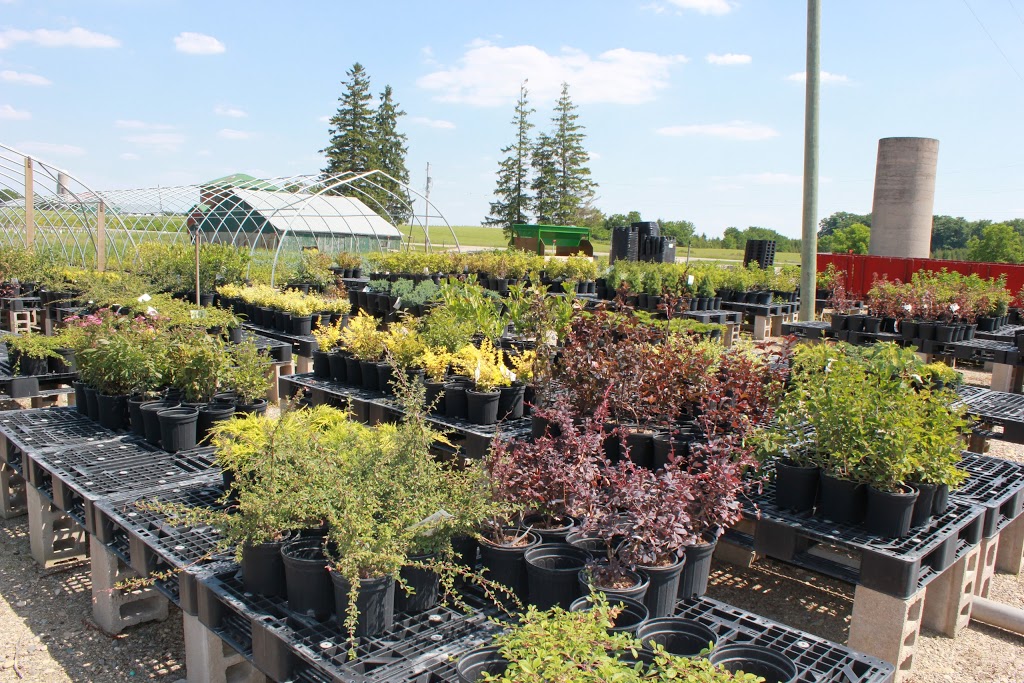 Benjamin Tree Farm | 770 Benjamin Rd, Waterloo, ON N2J 3Z4, Canada | Phone: (519) 699-5000