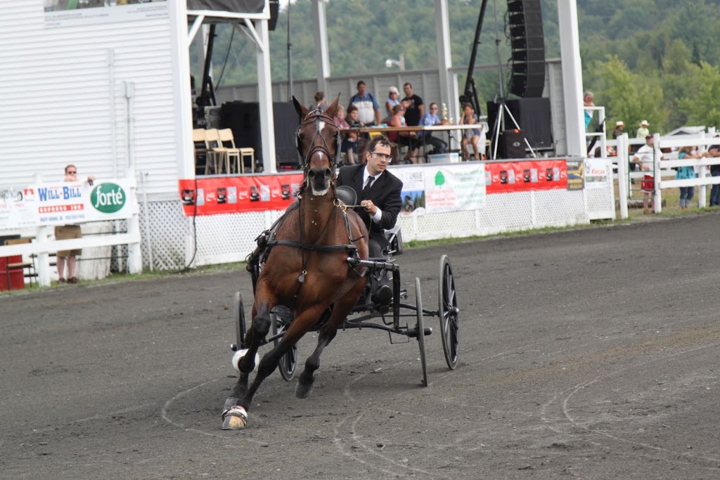 Brome County Agricultural Society | 345 Chemin Stagecoach, Brome, QC J0E 1K0, Canada | Phone: (450) 242-3976