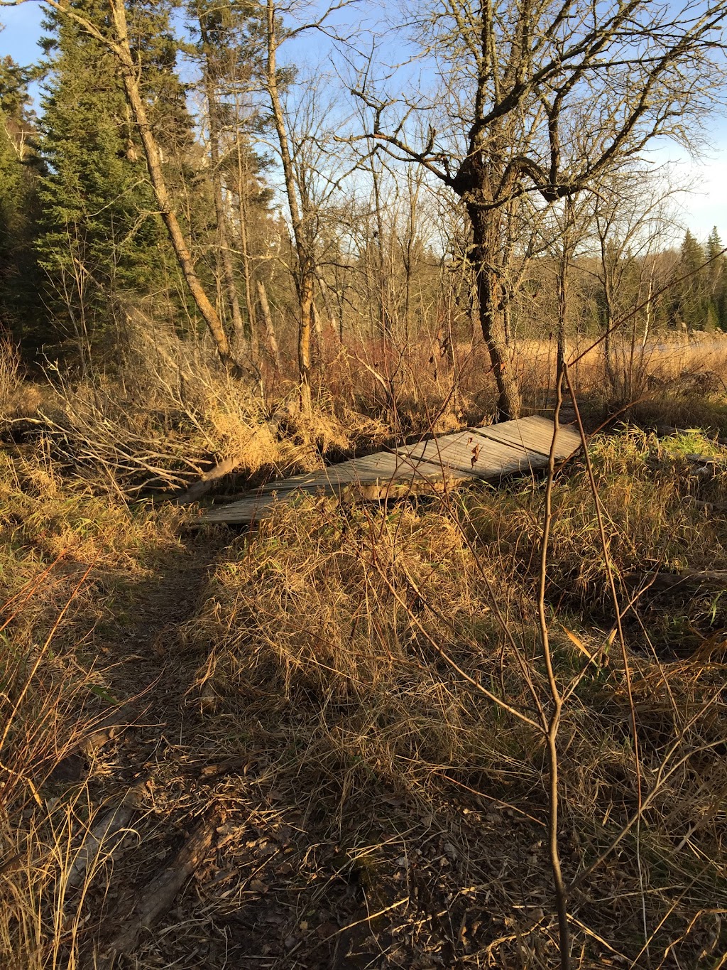 Mantario Hiking Trail - North Trailhead | Rennie, MB R0E 1R0, Canada | Phone: (204) 369-3153