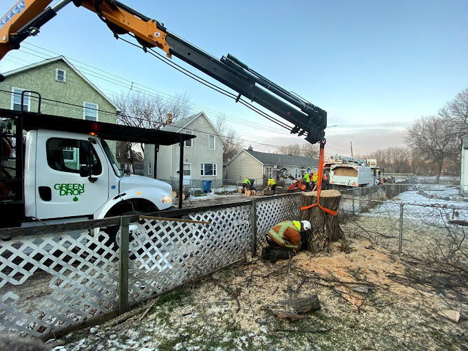 Green Drop Tree Care | 6660 Taylor Dr. #105, Red Deer, AB T4P 1Y3, Canada | Phone: (833) 928-8733