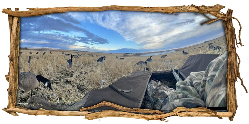 Hill’s waterfowl | Range Rd 255, Strathmore, AB T1P 0K3, Canada | Phone: (587) 727-5649