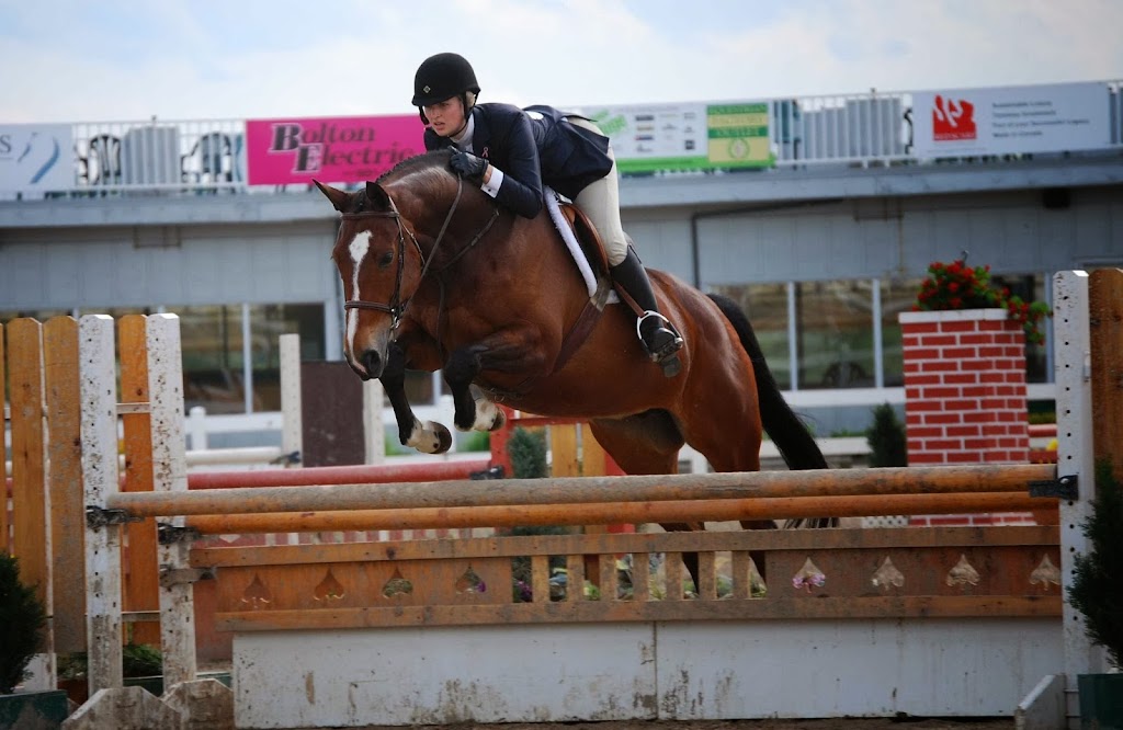 Pickering Horse Centre Ltd | 3800 Paddock Rd, Claremont, ON L1Y 1A2, Canada | Phone: (905) 626-9065