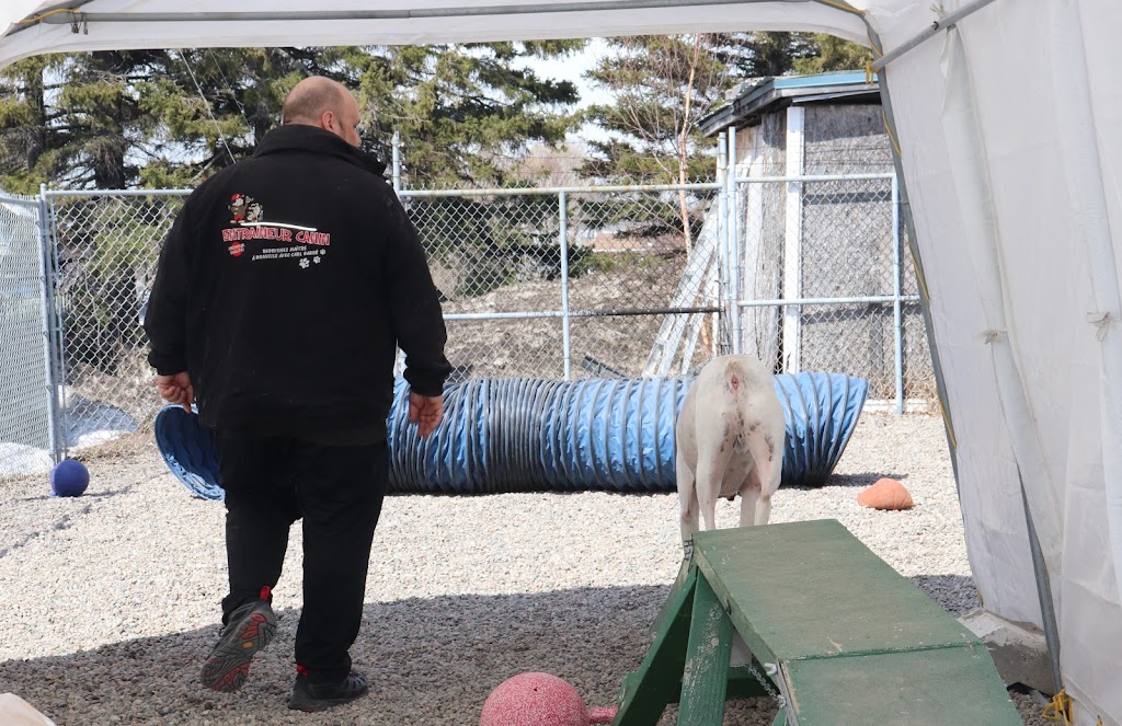 École d’Obéissance Canine du Saguenay | 2885 Bd du Royaume, Jonquière, QC G7X 7V3, Canada | Phone: (418) 550-5524