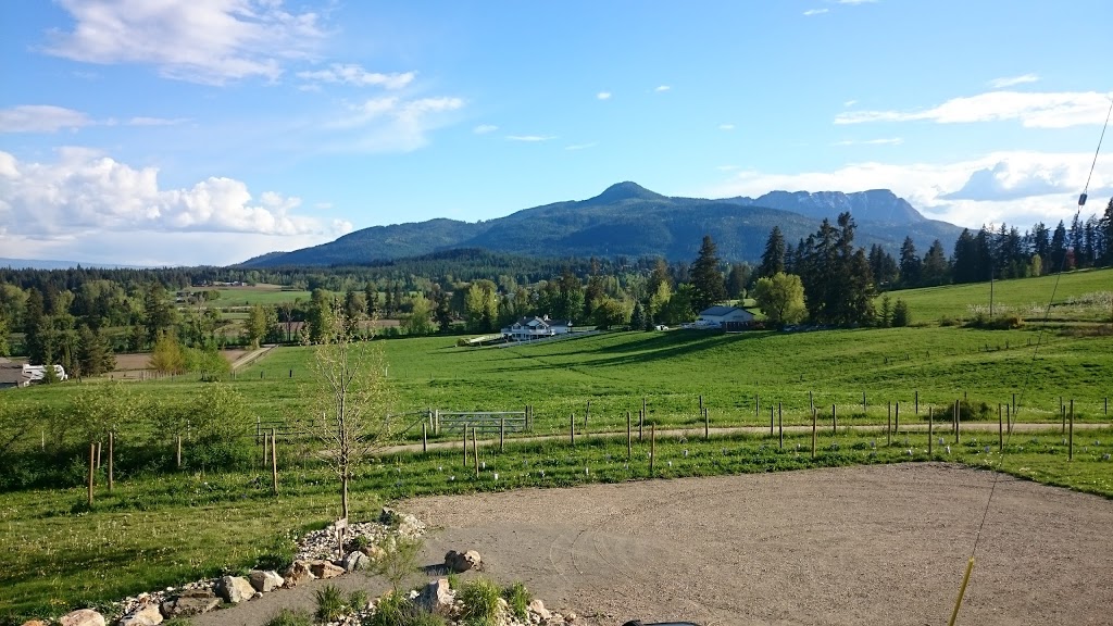 Marionette Winery | 2540 40th St NE, Salmon Arm, BC V1E 1Z3, Canada | Phone: (250) 832-7702