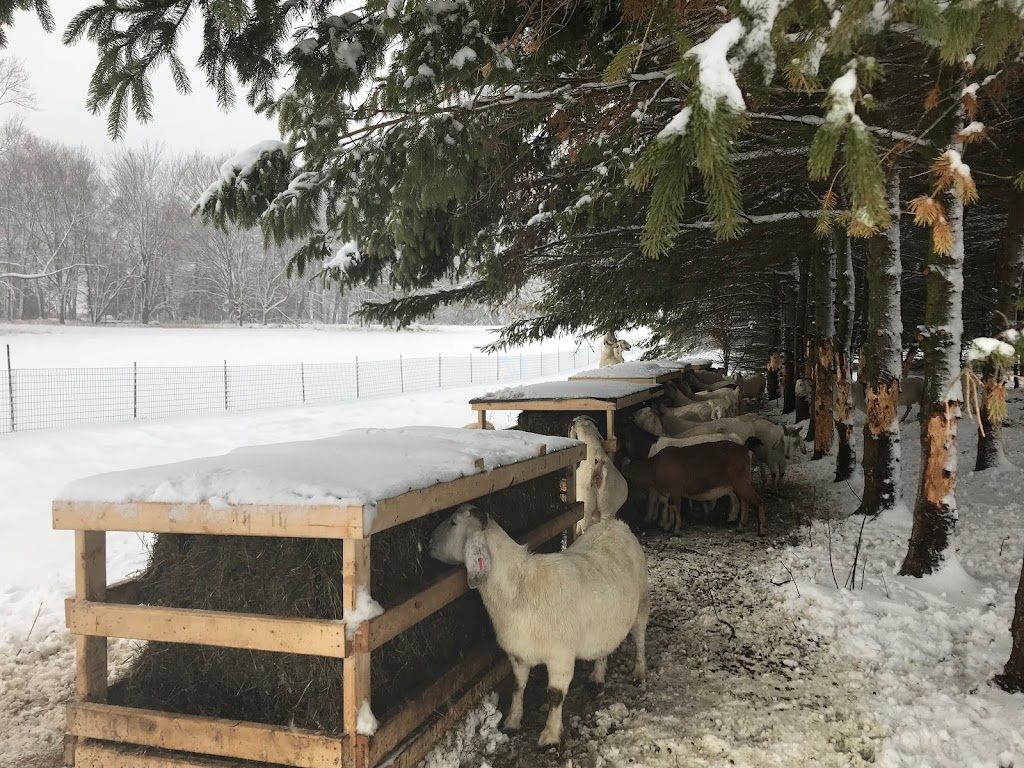 Farm on The Lake | 170404 Centre Rd, Georgian Bluffs, ON N0H 2T0, Canada | Phone: (519) 534-3545