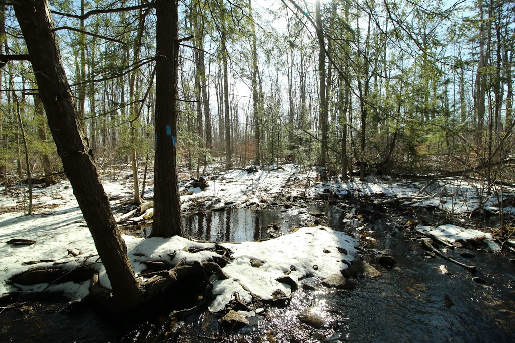 Speyside Resource Management Area | 11677 Regional Rd 25, Milton, ON L9T 2X7, Canada | Phone: (905) 336-1158