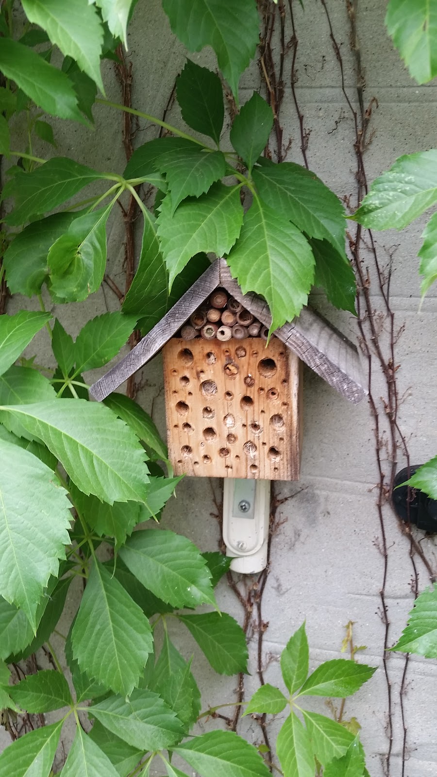 University Of Guelph Beekeeping Lab | 308 Stone Rd E, Guelph, ON N1G 2W1, Canada | Phone: (519) 836-8897