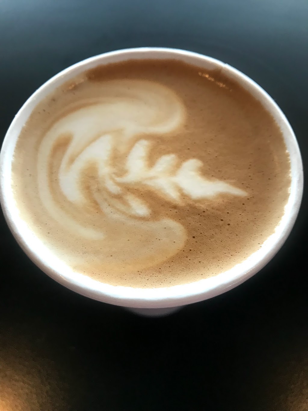 Salty Fox Coffee | 85 Front St, Friday Harbor, WA 98250, USA | Phone: (360) 622-2486