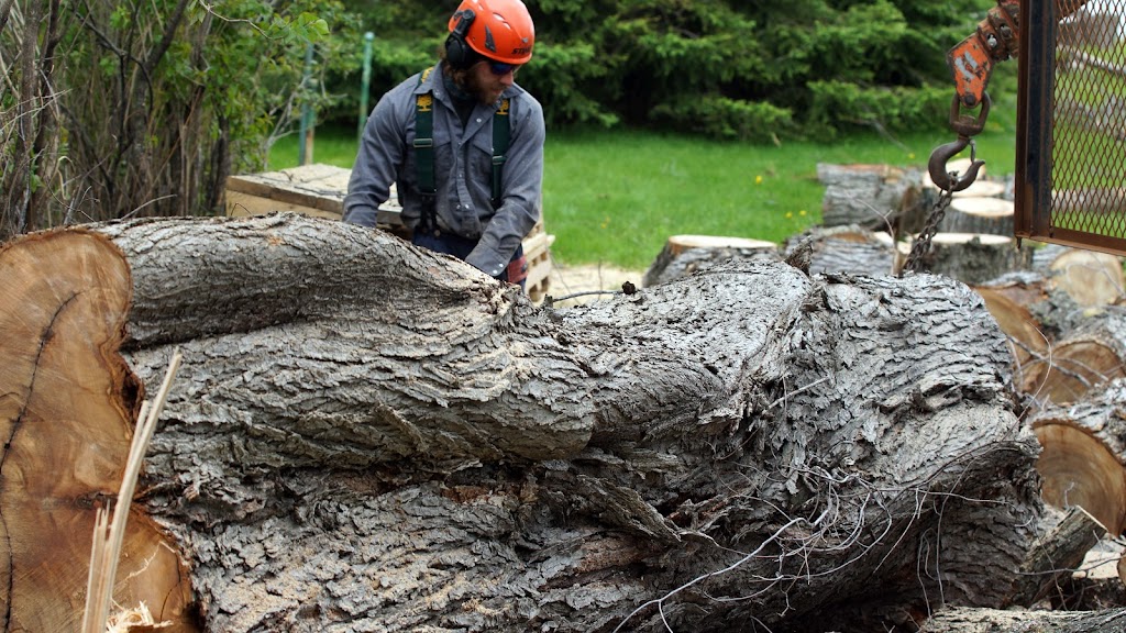 les Arboriculteurs du lac | 645 Av. Labrecque, Alma, QC G8B 2Z6, Canada | Phone: (418) 668-7014