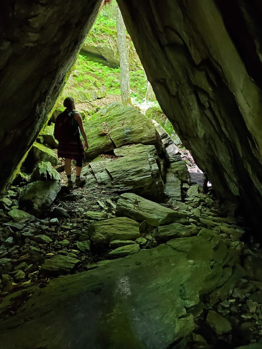 Devils Gulch | Long Trail, Eden, VT 05652, USA