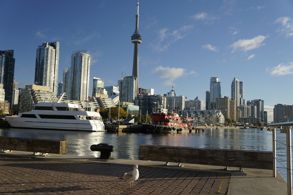 Ireland Park | Queens Quay W, Toronto, ON M5V 3G3, Canada | Phone: (416) 601-6906