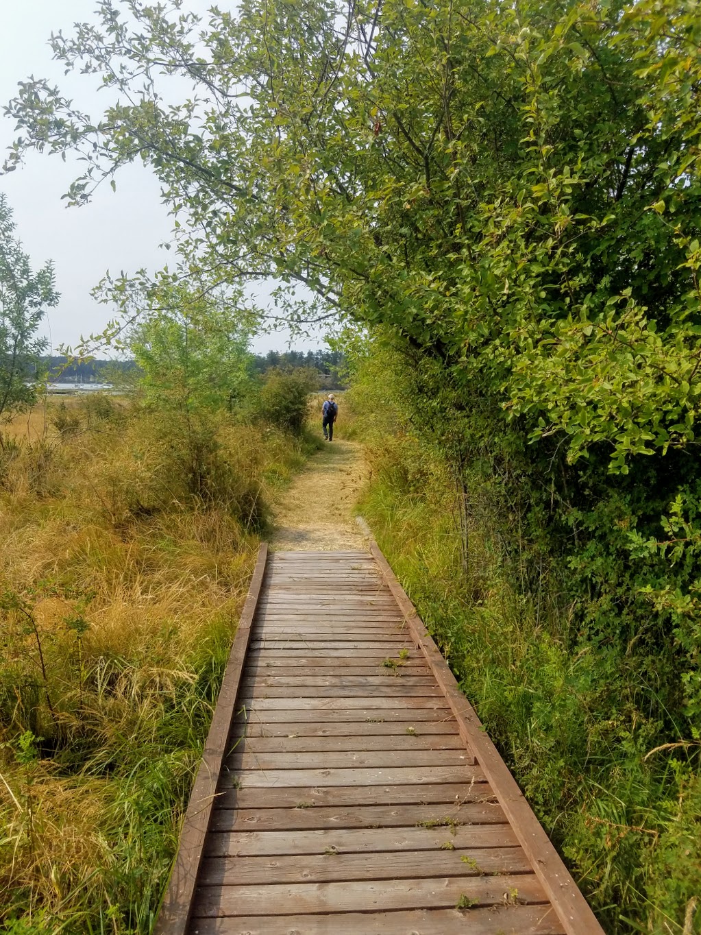 Weeks Wetland Preserve | 35-43 Weeks Point Way, Lopez Island, WA 98261, USA