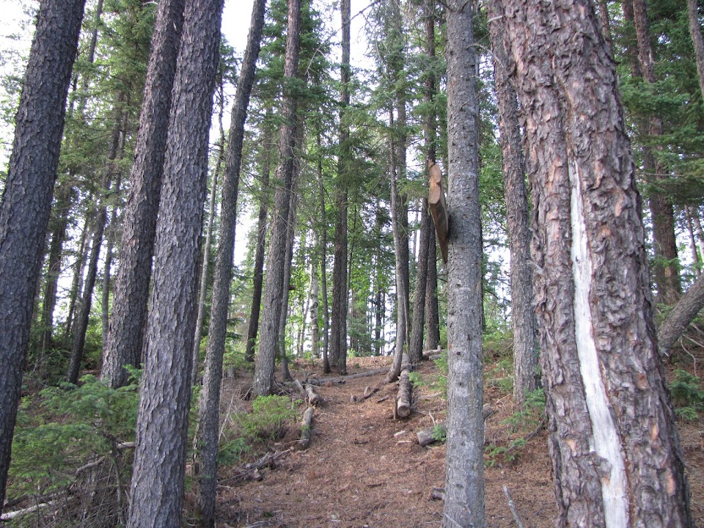 Zec du Chapeau-de-Paille | 102 Chemin de la Matawin, Trois-Rives, QC G0X 2C0, Canada | Phone: (819) 646-5694