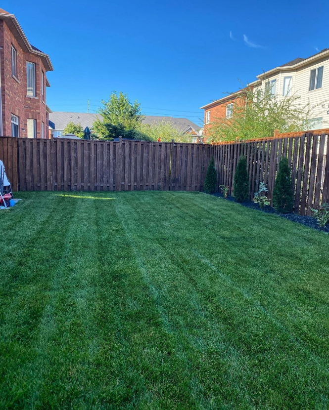 Absolute Lawn | 485 Meadows Blvd, Mississauga, ON L4Z 1H1, Canada | Phone: (647) 901-5102