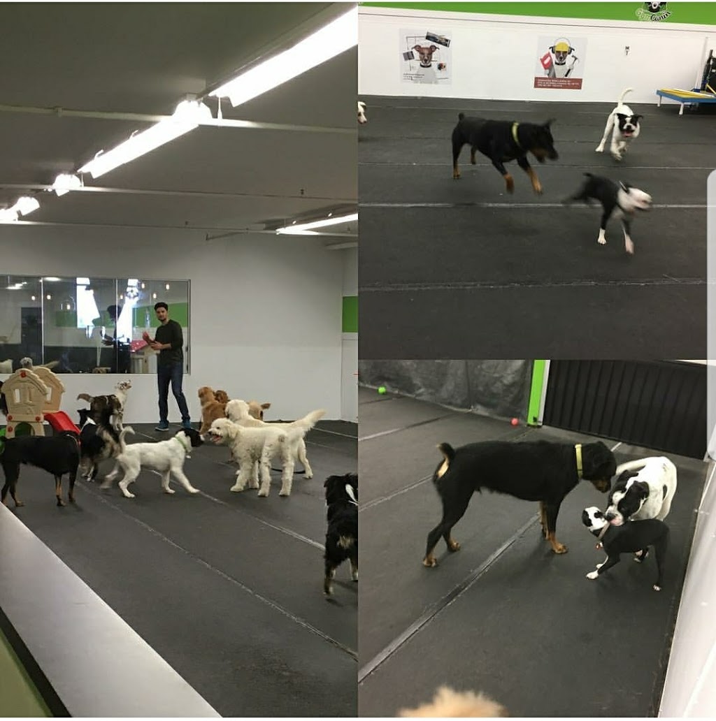 GymCanin | 119 sur, Boul Sir-Wilfrid-Laurier, Saint-Basile-le-Grand, QC J3N 1A1, Canada | Phone: (514) 591-4545