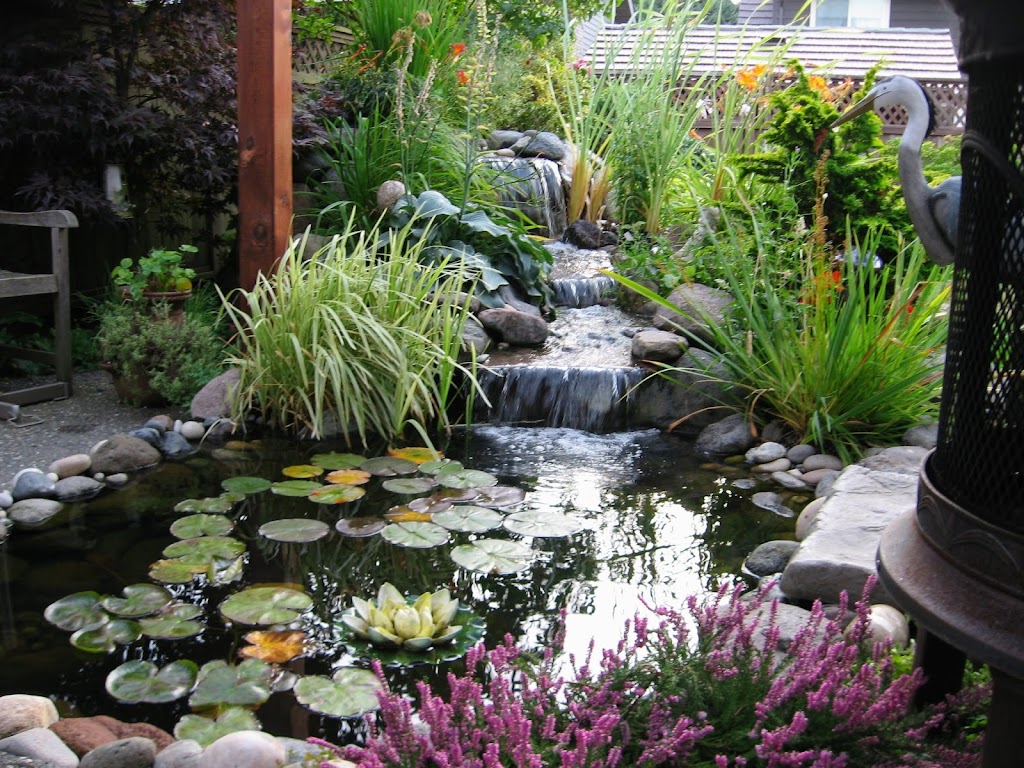 Superior Ponds & Landscaping | 5224 7a Ave, Delta, BC V4M 1R4, Canada | Phone: (604) 943-6070