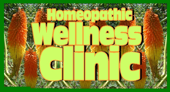 Homeopathic Wellness Clinic | 144 Dundas St, Woodstock, ON N4S 1A2, Canada | Phone: (519) 539-9355