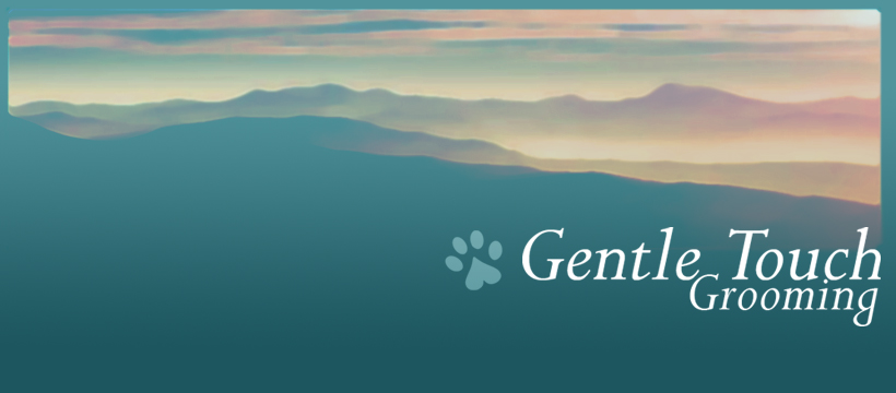 Gentle Touch Grooming | 67 Ave, Rocky Mountain House, AB T4T 1V6, Canada | Phone: (403) 846-3364