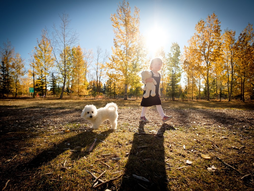 BP Birthplace Forest | Silver Springs, Calgary, AB T3B 4N3, Canada