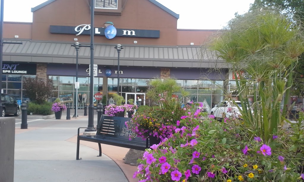 Plum in Westhills Towne Centre | 250 Stewart Green SW, Calgary, AB T3H 3C8, Canada | Phone: (403) 240-1484