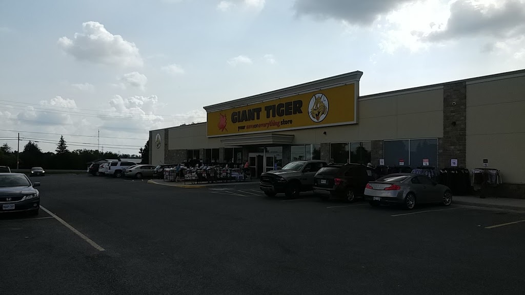 Giant Tiger | 2657 Lakefield Rd, Lakefield, ON K0L 6X5, Canada | Phone: (705) 876-7715