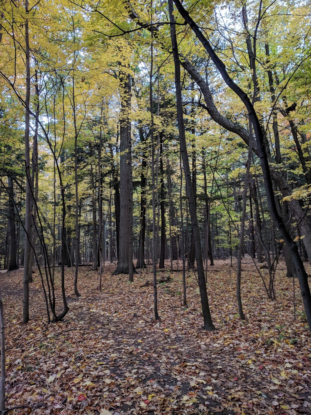 Riverside Trail | Rouge, Toronto, ON M1B, Canada