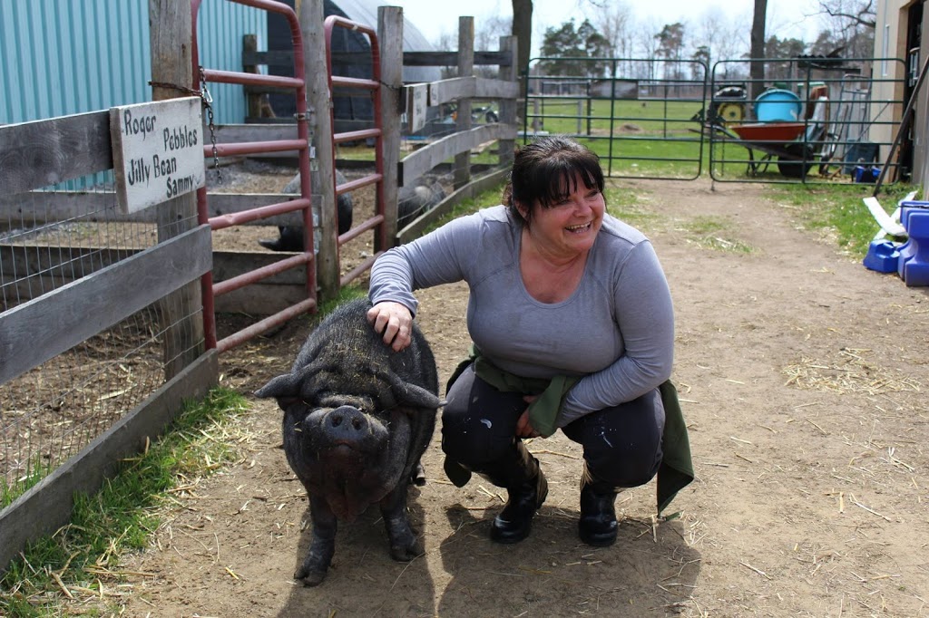 Ralphys Retreat Animal Sanctuary | 85 Dancey Side Rd, St Williams, ON N0E 1P0, Canada | Phone: (519) 420-1364