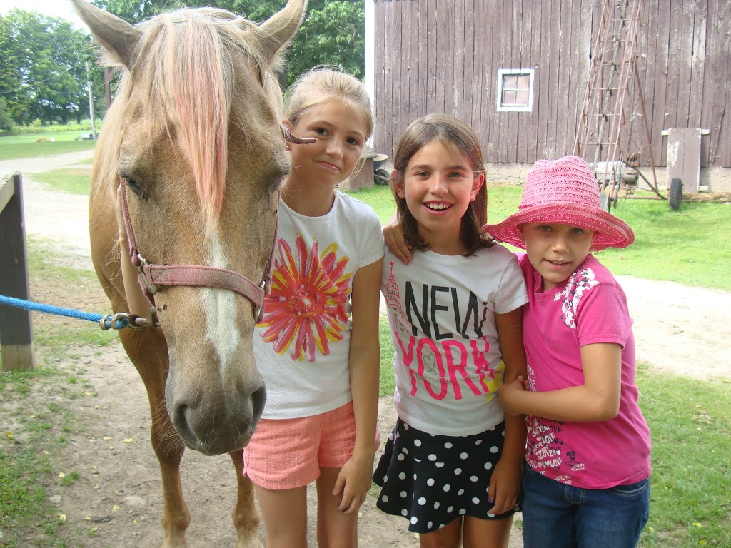 Horseshoe J Dude Ranch - Summer Camps, Lessons, Public trail rid | 32553 Erin Line, Fingal, ON N0L 1K0, Canada | Phone: (519) 762-5402
