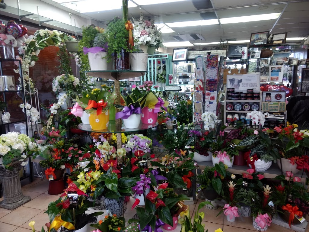 Junes Flower & Gift Shoppe | 2812 Victoria Park Ave, North York, ON M2J 4A8, Canada | Phone: (416) 491-8899