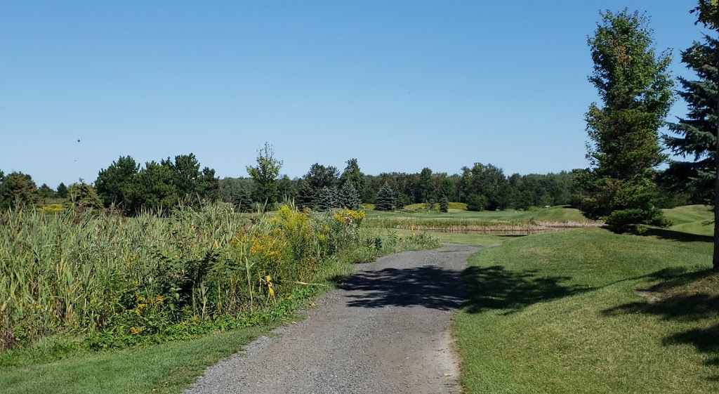 Innisfill Creek Golf Club | 239 Reive Blvd, Cookstown, ON L0L 1L0, Canada | Phone: (705) 458-4653