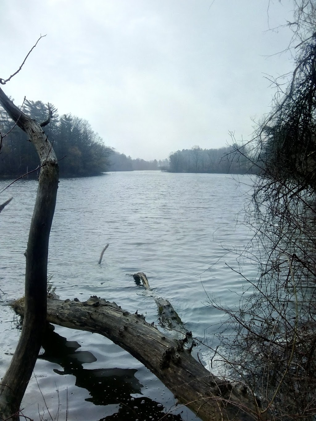 Dorchester Mill Pond EcoTrail | Mill Pond,, Thames Centre, ON N0L 1G2, Canada